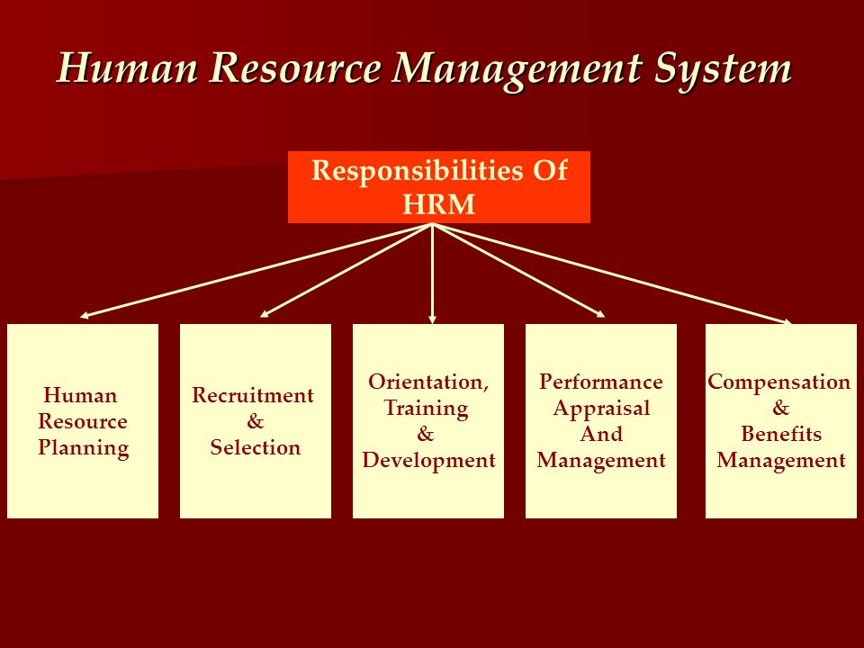 Role of hrd in career planning and development